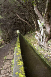 Portugal, Madeira, Levada, traditionelle Kanalbewässerung - GA00089