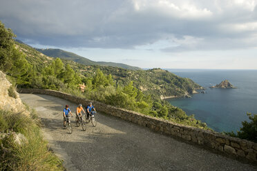 Italien, Toskana, Monte Argentario, Drei Mountainbiker fahren auf der Küstenautobahn - DSF00147