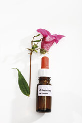 Fläschchen mit Bachblüten Stock Remedy, Impatiens - 09122CS-U