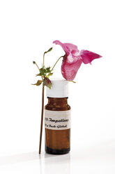 Fläschchen mit Bachblüten Stock Remedy, Impatiens - 09115CS-U