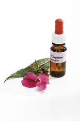 Fläschchen mit Bachblüten Stock Remedy, Impatiens - 09111CS-U