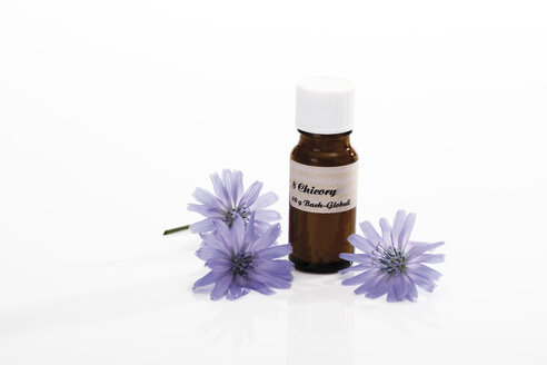 Bottle with Bach Flower Stock Remedy, Chicory (Cichorium intybus) - 09104CS-U