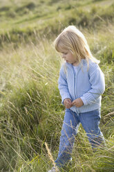 Little girl (3-4) walking in the meadow - SMOF00183