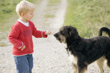 Kleiner Junge (3-4) spielt mit Hund - SMOF00171