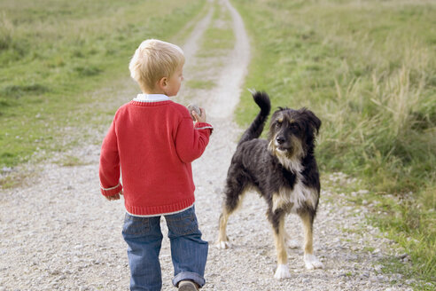 Little boy (3-4) playing with dog - SMOF00165