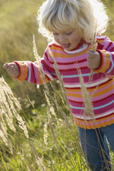 Little girl (2-3) playing in meadow, close-up - SMOF00154