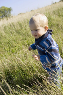 Little boy (1-2) walking in the meadow - SMOF00152