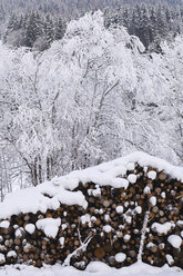 Austria, Salzburger Land, Winter scenery - HHF02657