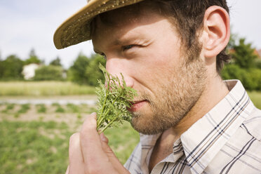 Farmer smelling rosemary, portrait, close-up - BMF00495