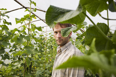 Man in greenhouse, portrait - BMF00479
