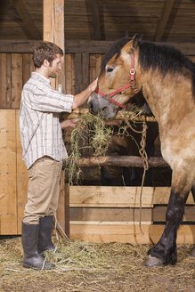 Landwirt füttert Heu an Pferde im Stall - BMF00474
