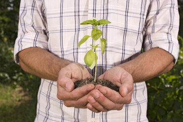 Man holding seedling, close-up - BMF00466