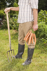 Mann hält ein Bündel Karotten, tiefer Ausschnitt - BMF00456