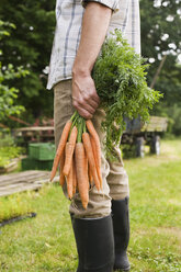 Mann hält ein Bündel Karotten, tiefer Ausschnitt, Nahaufnahme - BMF00453