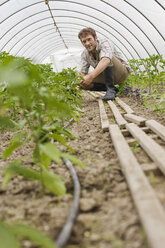 Man in greenhouse - BMF00408