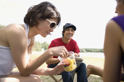 Germany, Leipzig, Ammelshainer See, Friends having picnic - WESTF09455