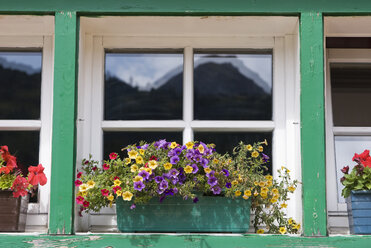 Blockhaus, Blumenkasten mit blühenden Pflanzen auf der Fensterbank - UMF00238