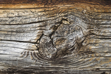 Tree trunk, wood grain, close up - UMF00232