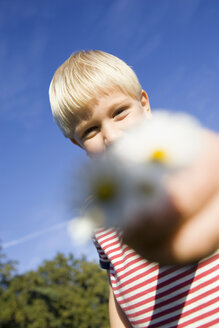 Little boy (4-5) holding daisies - SMO00265