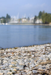 Deutschland, Friedrichshafen, Bodensee, Hafen im Hintergrund - SMF00399