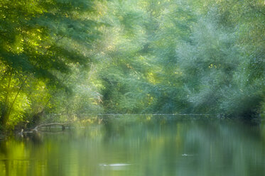 Deutschland, Baden Württemberg, Fluss im Wald - SMF00397