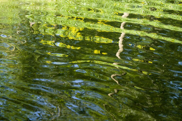 Gekräuseltes Wasser mit Reflexion der Farben, Vollbild - SMF00391