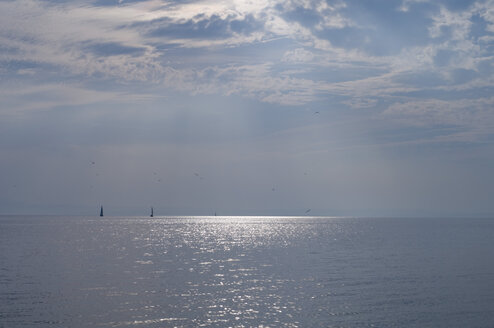 Germany, Langenargen, Lake Constance - SMF00371