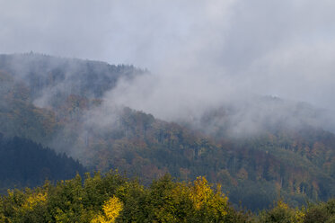 Deutschland, Baden Württemberg, Herbstlandschaft - SMF00349