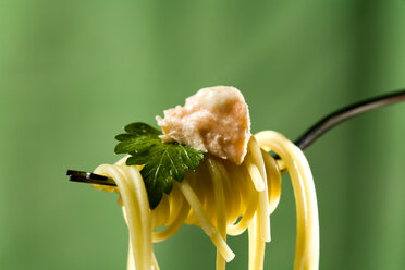 Spaghetti mit Lachs, Mornay-Sauce und Petersilie auf Gabel, Nahaufnahme - MAEF01194