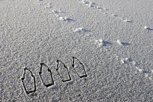 In den Schnee gezogene Kerzen, Blick von oben - AWDF00272