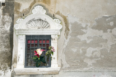 Italien, Venedig, Fenster mit Plastikblumen, Nahaufnahme - AWDF00192