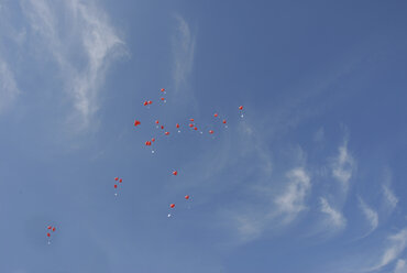 Red heart-shaped balloons in the sky - AWDF00184