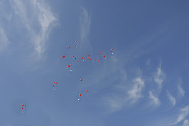 Rote herzförmige Luftballons am Himmel - AWDF00184