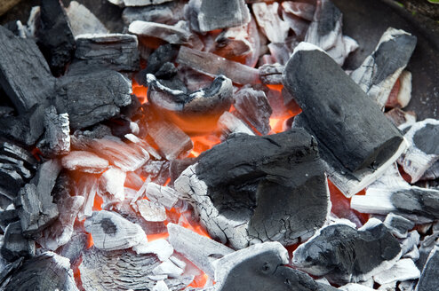 Burning Barbecue Charcoal - AWDF00158