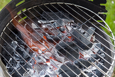 Burning Barbecue Charcoal - AWDF00157