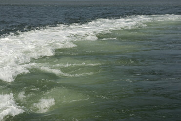 Deutschland, Amrum, Nordsee, Surf - AWDF00097