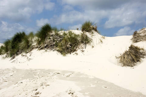 Deutschland, Amrum, Sanddüne mit Strandhafer, lizenzfreies Stockfoto