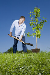 Junger Mann pflanzt einen kleinen Baum - CLF00609