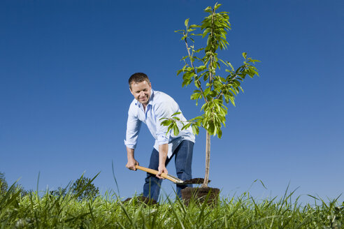 Junger Mann pflanzt einen kleinen Baum - CLF00607