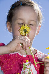 Young girl (6-7) holding a dandelion flower to her nose, close up - CLF00594