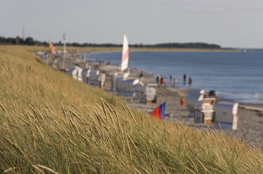 Deutschland, Mecklenburg-Vorpommern, Insel Hiddensee, Touristen gehen über den Strand - WDF00256