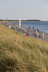Deutschland, Mecklenburg-Vorpommern, Insel Hiddensee, Touristen gehen über den Strand - WDF00255