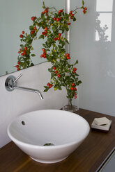 Bathroom, Washbowl and dog rose twig, close up - WDF00182