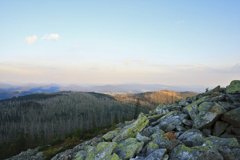 Deutschland, Bayerischer Wald, Lusen, Landschaft - FOF01185