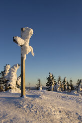 Deutschland, Bayerischer Wald, Kreuz mit Schnee bedeckt - FOF01179