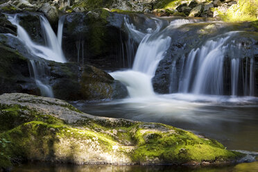 Deutschland, Bayerischer Wald, Bach Buchberger Leite, Wasserfall - FOF01160