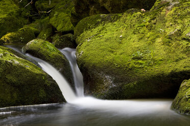 Deutschland, Bayerischer Wald, Bach Buchberger Leite, Wasserfall - FOF01159