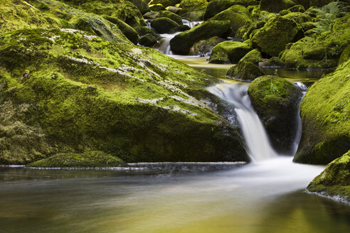 Deutschland, Bayerischer Wald, Fluss Buchberger Leite, Wasserfall - FOF01157