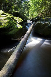 Germany, Bavarian Forest, Steinklamm, Waterfall - FOF01149