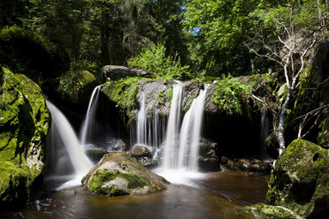 Deutschland, Bayerischer Wald, Steinklamm, Wasserfall - FOF01147